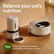 PETLIBRO automatic cat feeder wet food stainless steel
