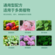 Stanley JD.com specializes in nutrient solution flower fertilizer for household potted plants universal hydroponic flowers and green plants 1L