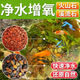 Natural volcanic stone stream stone fish tank decoration package natural native aquascape bottom sand special stone medium grain 5Jin Jin is equal to 0.5kg volcanic stone + 5Jin Jin is equal to 0.5kg stream stone king fried combination ancient method of fish farming to stabilize water quality without changing water