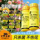 Stanley's methicillin root rot, mildew, rose flower orchid black stem special soil fungicide anther, mefenmethane 200g*2