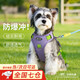 MIKI PAD Dog Harness Dog Rope Leash Explosion-proof Medium Dog Schnauzer Leash Vest Type Harness Small Dog Aurora Purple XS Bust 43-56cm Recommended 6-12kg