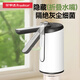 Royalstar Water Pump, Bottled Water Dispenser, Pump, Electric Water Suction Device, Bucket Pressure Device, Water Dispenser, Automatic Water Filler, Strongly Recommend Sterilizing Lamp, Antibacterial + Foldable