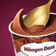 Haagen-Dazs Belgian chocolate flavored vat ice cream 473ml family size