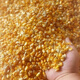 High-quality corn kernels for feeding ducks and pigeons, whole corn kernels, full kernels, low-priced dry corn for breeding and raising chickens, new corn 805 grams, clean, nationwide express delivery to towns and villages