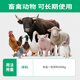 Huiqianfang Probiotic Enterobacteriaceae Veterinary Feed Additive Chicken, Duck, Goose, Pig, Cattle, Sheep, Livestock and Poultry Breeding Glucose Bacillus subtilis 10 bags, 1 bag free, 11 bags in total