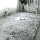 Yusenyi long hair carpet bedroom bedside blanket full of princess room girl's cloakroom photo gray carpet floor coffee color 200160 cm