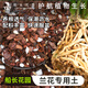 Captain's Garden Orchid Special Soil Clivia Phalaenopsis Planting Material Advanced Orchid Soil Granular Fertilizer High-end Pine Bark Orchid High-end Version 6 Liters (Approximately 5 Jin Jin is equal to 0.5 kg)