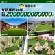 Qingya simulated lawn carpet, fake turf bedding, plastic outdoor artificial court, artificial fence, kindergarten green floor mat, 3 cm, newly upgraded 18-pin super dense anti-aging 3S model (4 meters wide and 25 meters long) 100 square meters