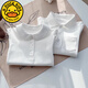 G.duck children's clothing girls white shirt pure cotton boys simple POLO long-sleeved school uniform white shirt children's lapel bottoming shirt white boys POLO collar long sleeves 120 cm recommended height 110-120cm5-6 years old