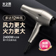 Fire Phoenix Hair Dryer 6600X, high power 2400W for hair salons, high wind power, low noise, home constant temperature hair care, no hair damage, professional hair dryer for barber shops, home appliances 6600H+ titanium gray (four-speed wind)
