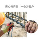 Yuanxing (YUANXING) No. 22 galvanized wire construction site steel bar binding wire binding handmade DIY thin wire 30cm long 1Jin Jin is equal to 0.5 kg