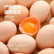 Free-range eggs, grain-fed fresh eggs 40g/each, 30 pieces of soft-boiled eggs, damaged eggs, 30 pieces/box Free-range eggs, grain-fed fresh eggs 40g/each, 30 pieces of soft-boiled eggs, damaged eggs, 30 pieces/box