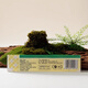 Seeball reife Tee, Fujian Nanhei Oolong Tee, Zhengxi Tee -Farbart AT207 Zhengxi Tee 125G*1 Box