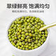 Authentic Northeast mung bean new arrival, whole grains, mung bean porridge, summer-relieving mung bean soup, mung bean cake 100g