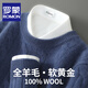ROMON double-strand seven-needle thickened 100% pure wool sweater men's jacquard round neck autumn and winter loose bottoming sweater sweater floral blue L