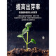 Soil Activator Black Water Fertilizer Universal Flower Fertilizer Loosening Fine Plant Flower Fertilizer Water-Soluble Fertilizer Soil Activation 3 Bottles 600g Improve Soil/Promote Rooting