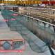 Earth net fish pot folding shrimp pot large ground net cage big eye small eye lobster crab pot knotted fishing net 12 meters 19 sections 50-40 enlarged frame 4 mm eye