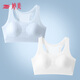 Tingmei 2-piece girl's bra development period for girls, primary school, middle and high school students sports shock-proof seamless underwear for women