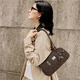 Nueva Nucelle Shen Yue misma Pegasus Bolle Bag 2025 New Boston Bag Bag de una sola bolsa de axila Regalo de San Valentín Chino