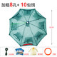 Fan-shaped fishing cage, automatic fishing shrimp cage, outdoor fishing artifact, portable and easy to fold, thickened fishing net cage, eel cage, shrimp cage, 8 holes, free gift pack + 10 packs of bait