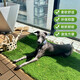Simulated lawn pet toilet mat, fake turf balcony, artificial turf, dog and cat urination, artificial carpet mat, 2.5cm spring grass upgraded and encrypted high-quality model 1 square meter, high-efficiency peeing grass