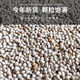 New white perilla large grain perilla seeds bird food canary hibiscus bird oriole pearl white swallow jade bird food parrot bird food 1Jin Jin is equal to 0.5 kg white perilla