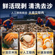 Selling Fish Qilang Frozen Large Yellow Scallop Meat Net Weight 3Jin Jin is equal to 0.5kg, about 120-180 pieces, clean and sand-free, barbecue seafood