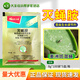 Heyi Jiangxi Heyi Qianke 50% cyromazine cucumber leafminer pesticide insecticide insect growth regulator 8g