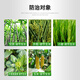 Yunda 120 Yunda 120 28 table high brassinolide leafy vegetables wheat corn plant growth regulator agricultural 10ml