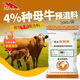 YINGMEIER breeding cow feed, special feed for breeding cows, trace element additives, cow premix, 5 bags of cow premix