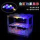 Trendy lifestyle electrical appliances lantern fish tank, fish tank + 2 lanterns (comes with colorful stones and aquatic plants)