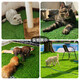 Simulated lawn pet toilet mat, fake turf balcony, artificial turf, dog and cat urination, artificial carpet mat, 2.5cm spring grass upgraded and encrypted high-quality model 1 square meter, high-efficiency peeing grass