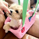 狗狗猫咪便携托特包宠物小型犬夏天外出神器手提篮约克夏马尔济斯 淡粉绿[撞色多巴胺*可DIY配饰] M-中型[建议8斤内爱宠]