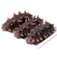 9A Dalian Liao sea cucumber fresh sea cucumber, pregnant women, edible tonic for the elderly and children, ready-to-eat sea cucumber 4-6 pieces/Jin Jin equals 0.5 kg, ready-to-eat sea cucumber 1 Jin Jin equals 0.5 kg (4-6 pieces)