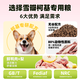 Xueban BAN Corgi Dog Food Special Food Duck Meat and Pear Grain-Free Puppies and Adult Dogs 2kg Care for the Gastrointestinal and Gastrointestinal Glass Stomach Buttocks Package Family Stocking Pack Corgi Duck Meat and Pear Grain-free Grain 12Jin Jin is equal to 0.5kg Pack 0lb See sku for details