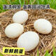 Authentic local goose eggs, fresh farm-raised goose eggs, large goose eggs, nourishing breakfast for pregnant women and babies, fresh JD.com 12 pieces, 100-120g, very cost-effective to eat by yourself Authentic local goose eggs, fresh farm-raised goose eggs, large goose eggs, nourishing breakfast for pregnant women and babies, fresh JD.com 12 pieces, 100-120g, very cost-effective to eat by yourself