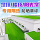 Fake lawn simulated artificial turf plastic green carpet rooftop balcony roof sun room villa courtyard outdoor 2.5 cm thickened extra dense spring grass 3 meters wide 6 meters long manual cutting