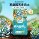 Dewo succulent nutrient soil 2.5KG plant planting matrix succulent granular nutrient soil (50% granules + 50% soil)
