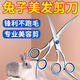 Pet scissors and beauty tools, professional hair trimming shears, dog hair curved scissors, dog teddy hair shearing, rabbit hair cutting scissors, 2 pairs of upper and lower curved pet grooming scissors