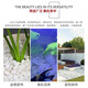 Shengjing plant materials white pebbles courtyard landscape paving natural pebbles fish tank bottom potted plant paving white pebbles white pebbles 2-3cm 9-10Jin Jin equals 0.5 kg
