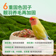 Buka Star B2 full price peony parrot special food parrot feed nutritional bird food bird food 500g
