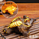 Yunhua tea pet ornaments can raise wealth, color-changing golden toad, tea set accessories, creative Kung Fu tea set, tea play Pixiu, color-changing tea pet, golden toad-gold