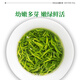 Yifutang Green Tea, Jiangsu's original Biluochun special selection 70g, 2025 new tea, spring tea canned tea, self-drinking
