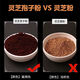 Changbai Mountain Ganoderma lucidum spore powder first-grade fine powder Ganoderma lucidum spore powder authentic spore oil to enhance resistance Ganoderma lucidum spore powder 53g bag