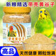 Bird food eaten by budgerigars: Black Phoenix Munnia shelled millet red millet bird feed yellow millet mixed shelled yellow grain rich in protein fiber healthy meat growth 550g yellow millet parrot food
