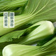 About 500g Shanghai green (rapeseed)