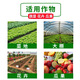 Tea dry powder insecticide, vegetable and fruit plant potted tea bran removal, snail removal, indoor nutrition, flower farming vegetable tea seed powder fertilizer, tea dry powder 5 Jin Jin is equal to 0.5 kg