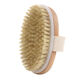 French bulldog special bristle brush dog comb to remove floating hair short-haired dog bath dual-use massage brush artifact bulldog paint hand brush