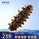 Gong Yi Dalian ready-to-eat sea cucumber 1Jin Jin is equal to 0.5 kg 5-8 pieces, solid content exceeds 80%, fresh sea cucumber processing, no need to soak