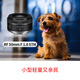 Canon RF50mm F1.8 STM full frame standard fixed focus mirrorless lens Canon RF mount